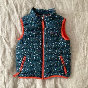 Patagonia Toddler Down Sweater Vest